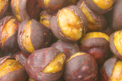 宮沢栗農園 直売所 焼栗 生栗 謙信甘栗 上越市